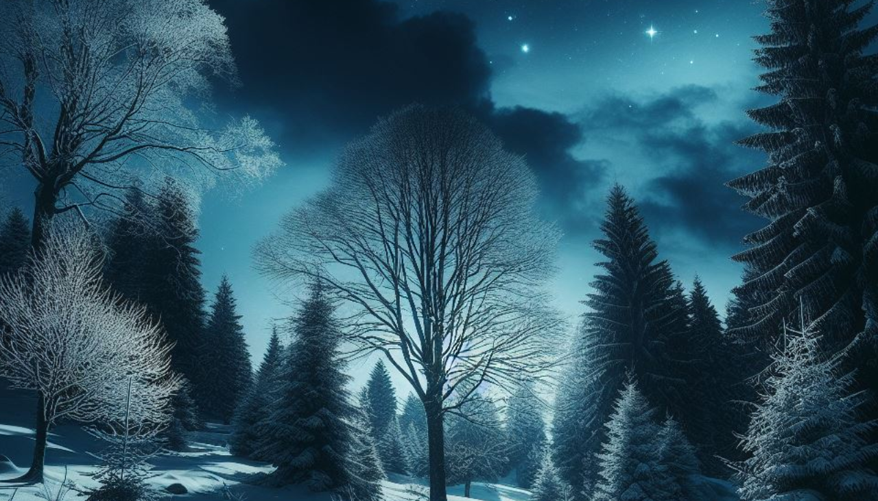 واقعة هزت مدينة بأكملها… يا ترى ماذا حدث؟