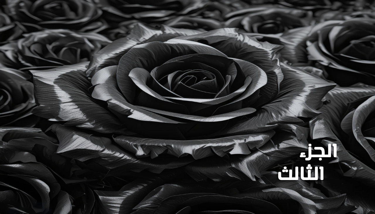 ليلة العمر الذهبية ( الجزء 3)