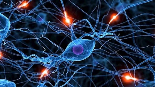 علامات تشير لإصابتك بتلف الأعصاب احذرها