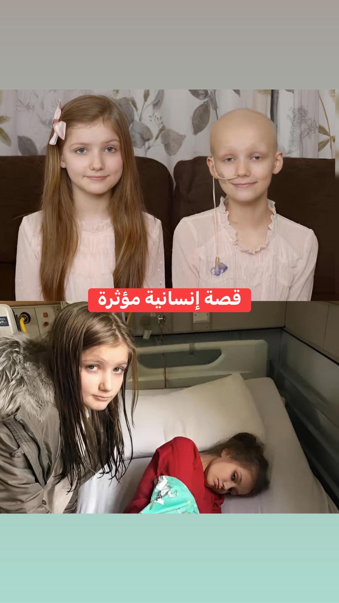التوأم