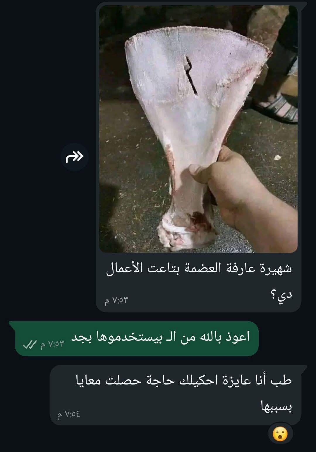 والدى جزار بقلم شهيرة عبد الحميد كاملة